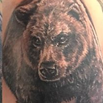 Tattoos - Grizzly  - 133057